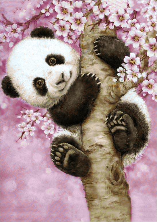 Sweet Panda CS076 Crafting Spark Diamond Painting kit with colorful square acrylic diamonds and self-adhesive canvas.